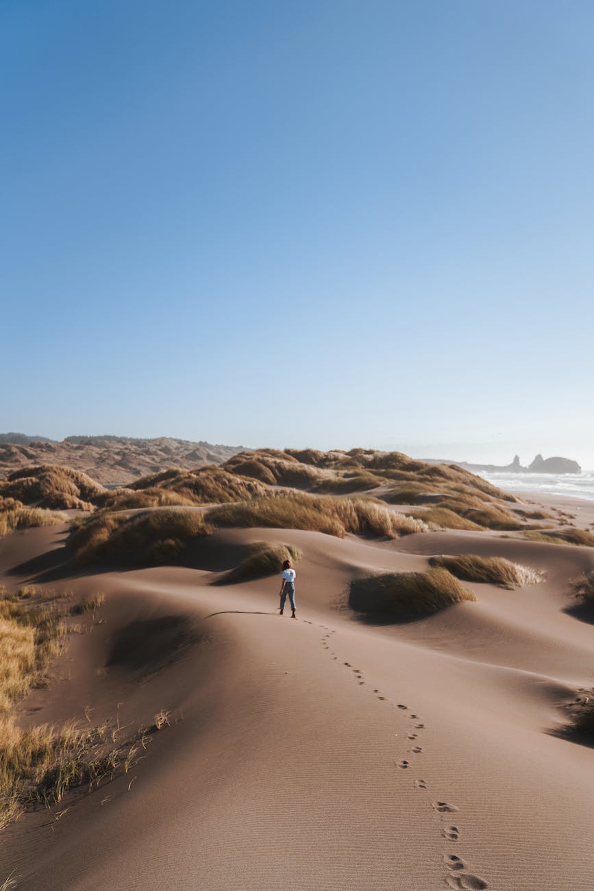 photo of person walking in dessert