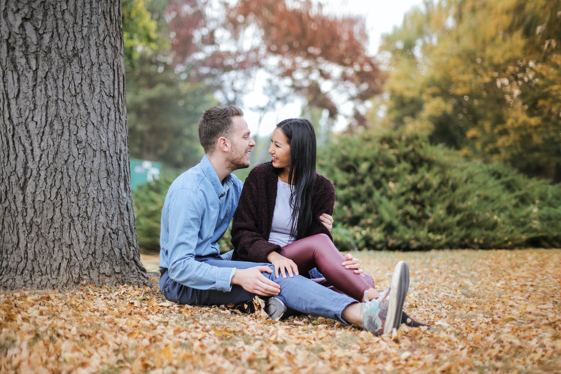 couple sitting under the tree during daytime