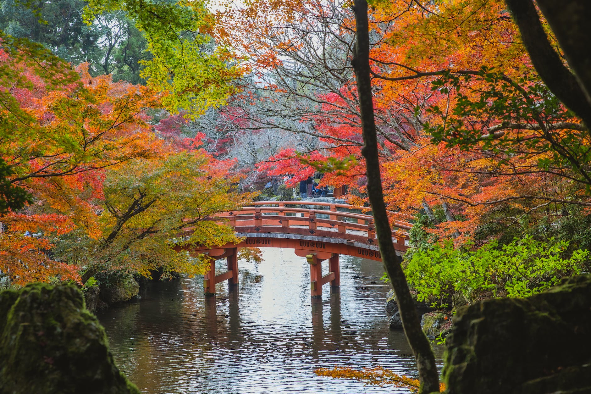 arched bridge over calm lake in japanese park